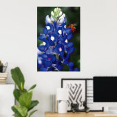 Bluebonnet mit Biene Poster (Heimbüro)