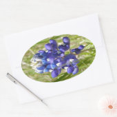 Bluebonnet Ovaler Aufkleber (Umschlag)