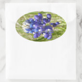Bluebonnet Ovaler Aufkleber (Tasche)