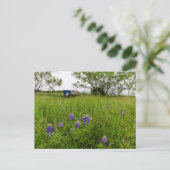 Bluebonnet Park, Ennis, Texas Postkarte (Stehend Vorderseite)
