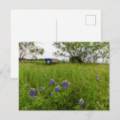 Bluebonnet Park, Ennis, Texas Postkarte (Vorne/Hinten)