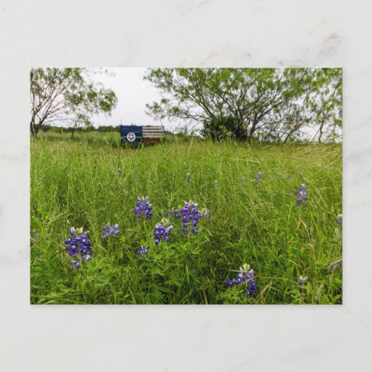 Bluebonnet Park, Ennis, Texas Postkarte (Vorderseite)