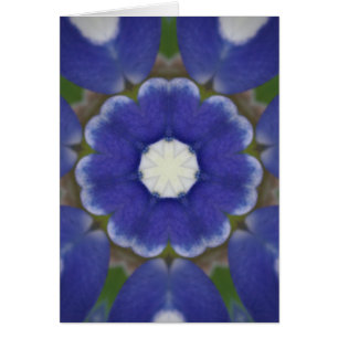 Bluebonnet Petal Kaleidoskop