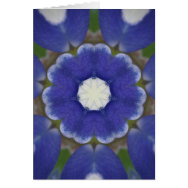 Bluebonnet Petal Kaleidoskop (Vorne)