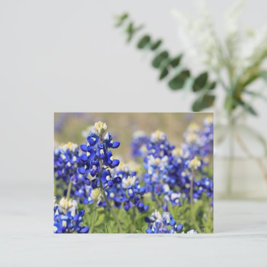 Bluebonnet Postcard Postkarte (Stehend Vorderseite)