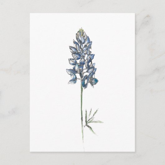 Bluebonnet Postkarte (Vorderseite)