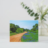 Bluebonnet Road, Willow City Loop, TX Postkarte (Stehend Vorderseite)