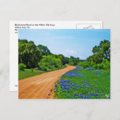 Bluebonnet Road, Willow City Loop, TX Postkarte (Vorne/Hinten)