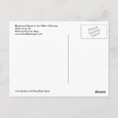 Bluebonnet Road, Willow City Loop, TX Postkarte (Rückseite)