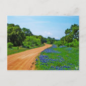 Bluebonnet Road, Willow City Loop, TX Postkarte (Vorderseite)