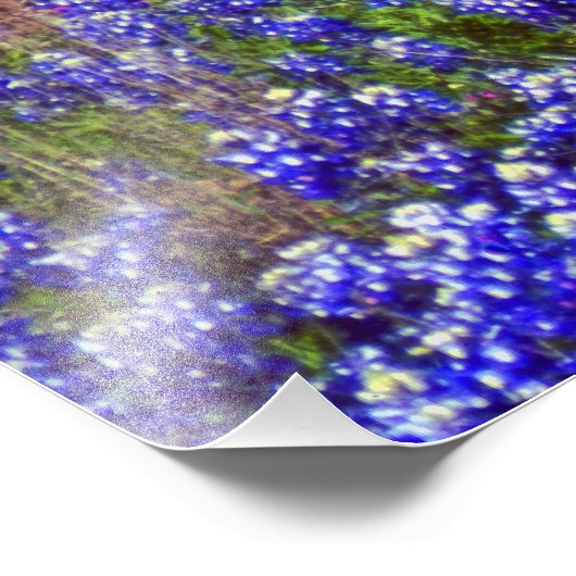 Bluebonnet Rock #2 Fotodruck (Ecke)