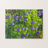 Bluebonnet Texas Blume Landschaftliches Foto Puzzle (Horizontal)
