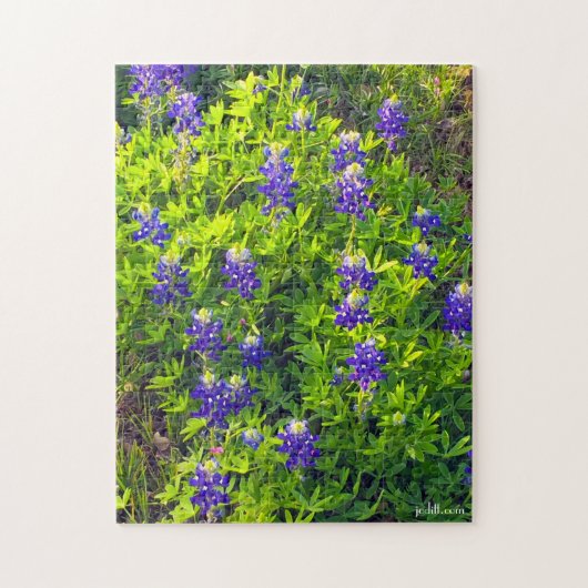 Bluebonnet Texas Blume Landschaftliches Foto Puzzle (Vertikal)