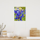 Bluebonnet Texas Blume Nah Up Wildblume Poster (Küche)
