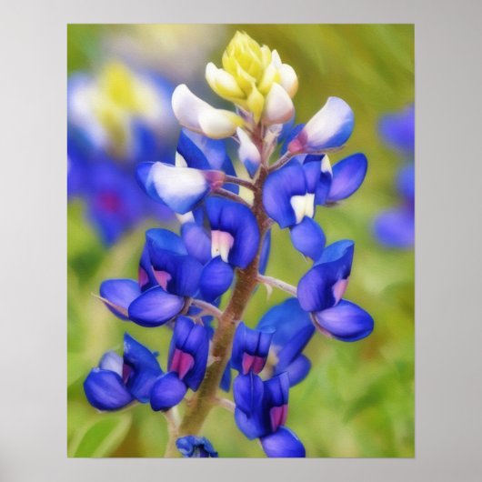 Bluebonnet Texas Blume Nah Up Wildblume Poster (Vorne)