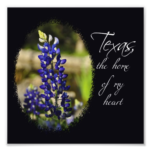 Bluebonnet "Texas, the Zuhause of My Heart" Print Fotodruck (Vorne)