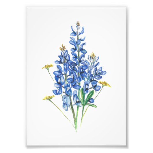 Bluebonnet und Wildblumen Fotodruck (Vorne)