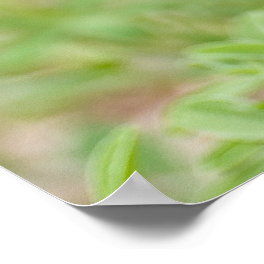 Bluebonnet-Wildblumen Poster (Ecke)