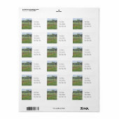 Bluebonnets - Adressmarken Adressaufkleber (Vorne)