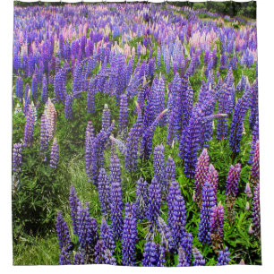 Bluebonnets Blue Floral Texas Texan Elegant Duschvorhang