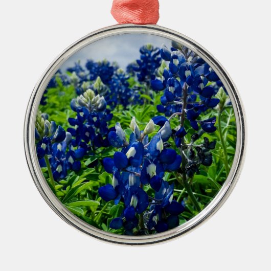 Bluebonnets Blue Floral Texas Texan Elegant Ornament Aus Metall (Vorne)