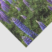 Bluebonnets Blue Floral Texas Texan Elegant Seidenpapier (Detail)