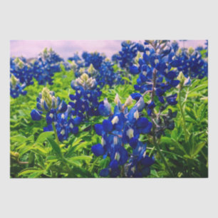 Bluebonnets Blue Floral Texas Texan Elegant Seidenpapier