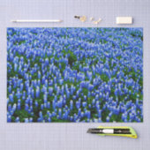 Bluebonnets Blue Floral Texas Texan Elegantes Gewe Seidenpapier (Handwerk)