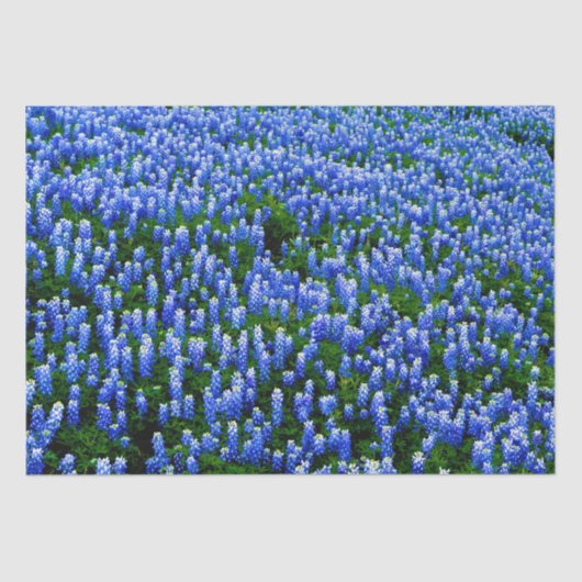 Bluebonnets Blue Floral Texas Texan Elegantes Gewe Seidenpapier (Vorderseite)