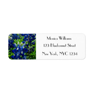 Bluebonnets Blue Flowers Texas texan Floral