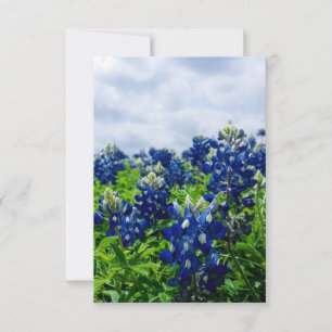 Bluebonnets Blue Flowers Texas Texan Floral Dankeskarte