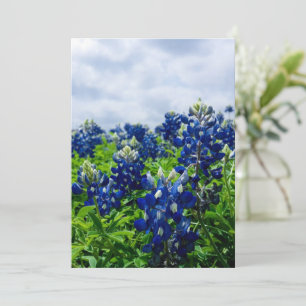 Bluebonnets Blue Flowers Texas Texan Floral Feiertagskarte