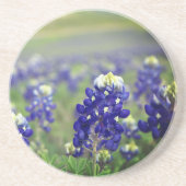 Bluebonnets Blue Flowers Texas Texan Floral Getränkeuntersetzer (Vorne)