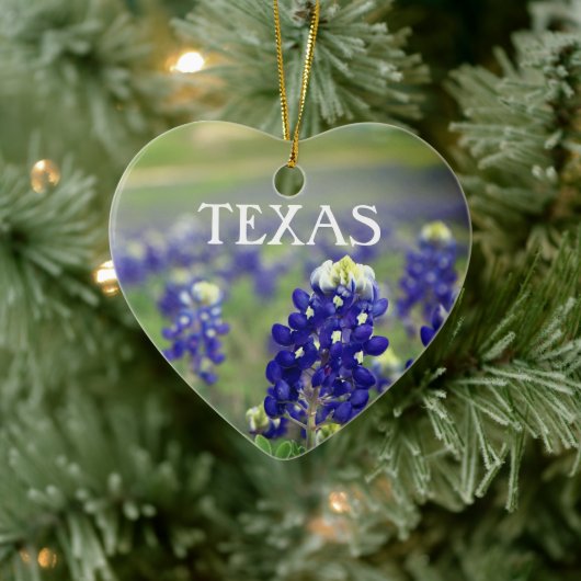 Bluebonnets Blue Flowers Texas Texan Floral Keramik Ornament (Baum)