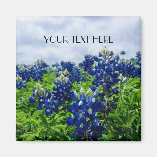 Bluebonnets Blue Flowers Texas texan Floral Magnet (Vorne)