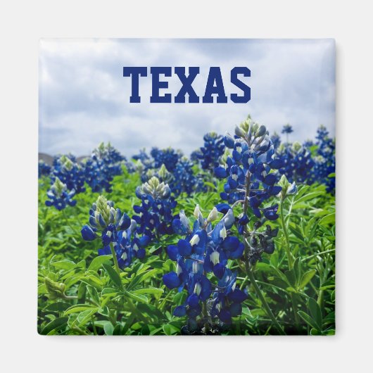 Bluebonnets Blue Flowers Texas Texan Floral Magnet (Vorne)