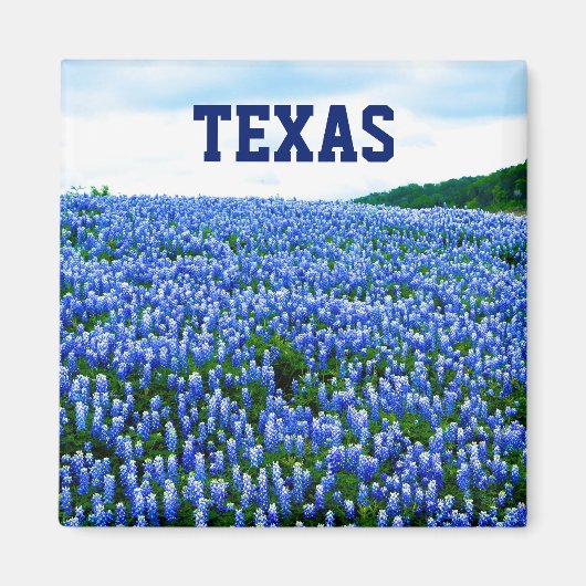 Bluebonnets Blue Flowers Texas Texan Floral Magnet (Vorne)
