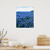 Bluebonnets Blue Flowers Texas Texan Floral Poster (Küche)
