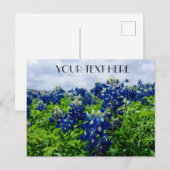 Bluebonnets Blue Flowers Texas texan Floral Postkarte (Vorne/Hinten)