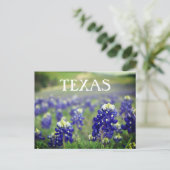 Bluebonnets Blue Flowers Texas Texan Floral Postkarte (Stehend Vorderseite)