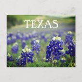 Bluebonnets Blue Flowers Texas Texan Floral Postkarte (Vorderseite)