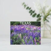 Bluebonnets Blue Flowers Texas Texan Floral Postkarte (Stehend Vorderseite)