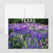 Bluebonnets Blue Flowers Texas Texan Floral Postkarte (Vorne/Hinten)