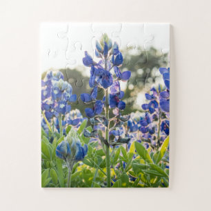 Bluebonnets Blue Flowers Texas Texan Floral Puzzle
