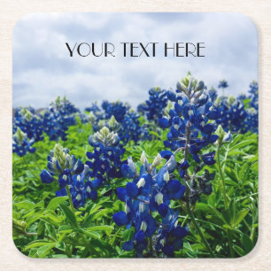Bluebonnets Blue Flowers Texas texan Floral Rechteckiger Pappuntersetzer