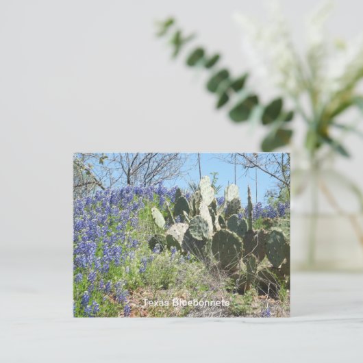 Bluebonnets & Cactus Postcard Postkarte (Stehend Vorderseite)