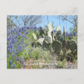 Bluebonnets & Cactus Postcard Postkarte (Vorderseite)