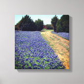 Bluebonnets Dirt Road Print Leinwanddruck (Vorderseite)