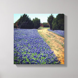 Bluebonnets Dirt Road Print Leinwanddruck