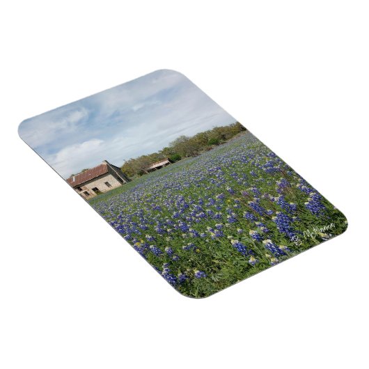 Bluebonnets Famous Texas House Magnet (Rechte Seite)